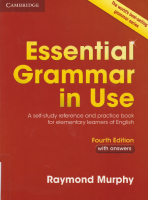 ESSENCIAL GRAMER IN USE.pdf